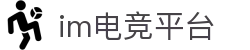 IM(股份有限公司)电竞-电子竞技平台
